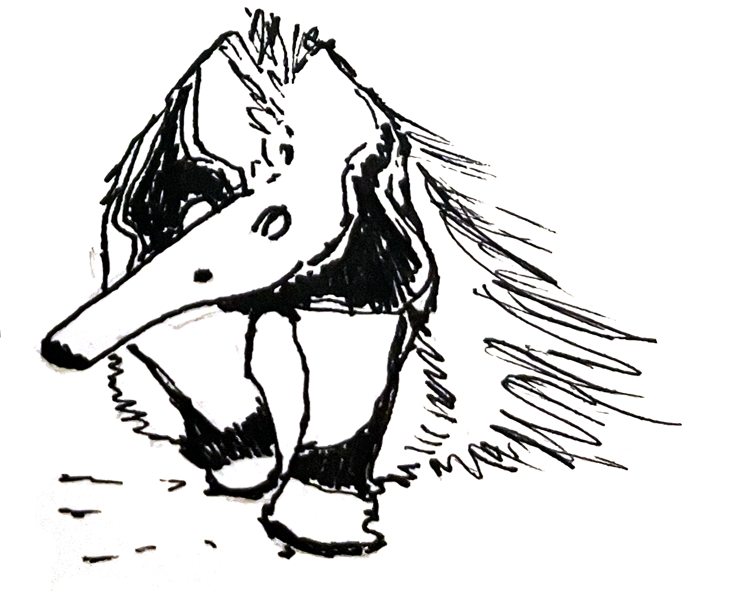 Tamandua